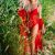 ESCORTS-ATHENS-GIRL-LUICE-SWEDISH-ESCORT-ATHENS-10