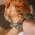 LUNA-ESCORT-BRAZILIAN-9 LUNA-ESCORT-BRAZILIAN-9