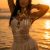 Athens Escort Ariela VIP ⭐️ - Image 4